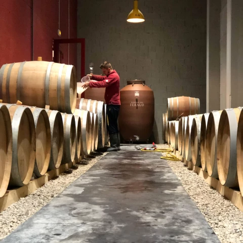 domaine-des-feraud-elevage