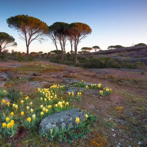 ballades-a-la-plaine-des-maures