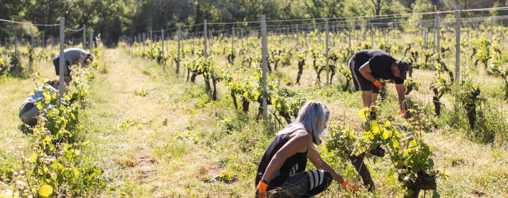 238 0521 feraud lessouriresdelea 8