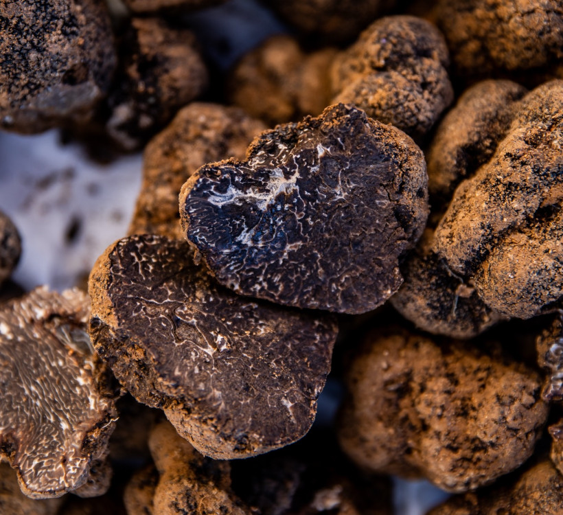 604609896 18299650003280138 784703195634256901 n