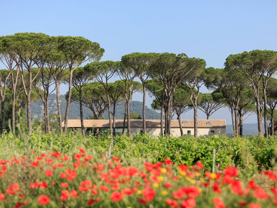 domaine-viticole-biologique-a-vidauban
