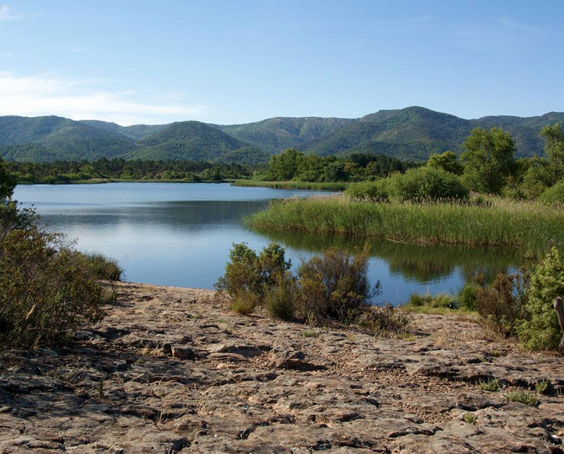 escapade-nature-autour-du-domaine-des-feraud