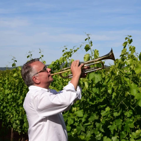 philosophie-du-domaine-des-feraud