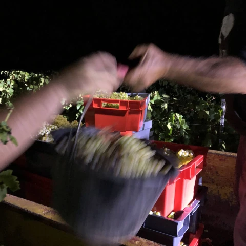 savoir-faire-du-domaine-des-feraud