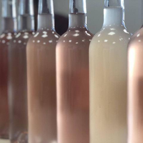 les-roses-du-domaine-des-feraud