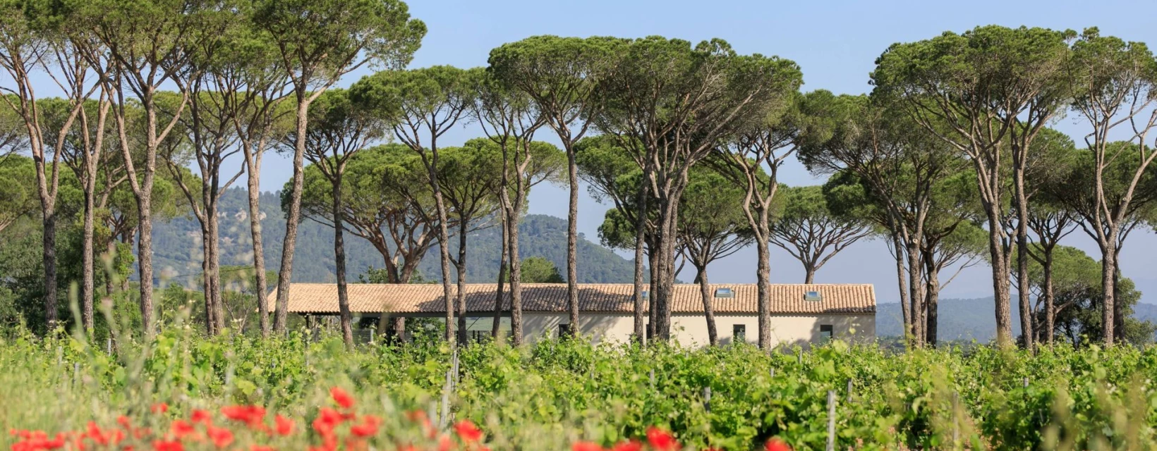 domaine-viticole-biologique-a-vidauban