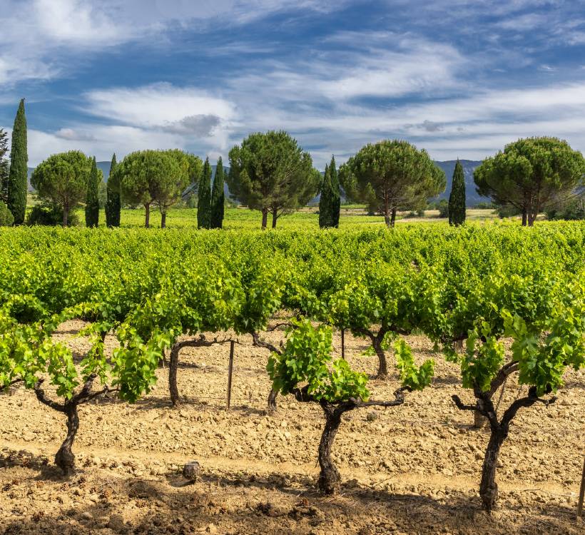 domaine des feraud sol et climat