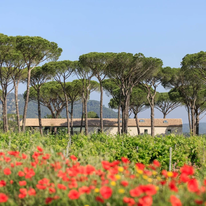 domaine-viticole-biologique-a-vidauban
